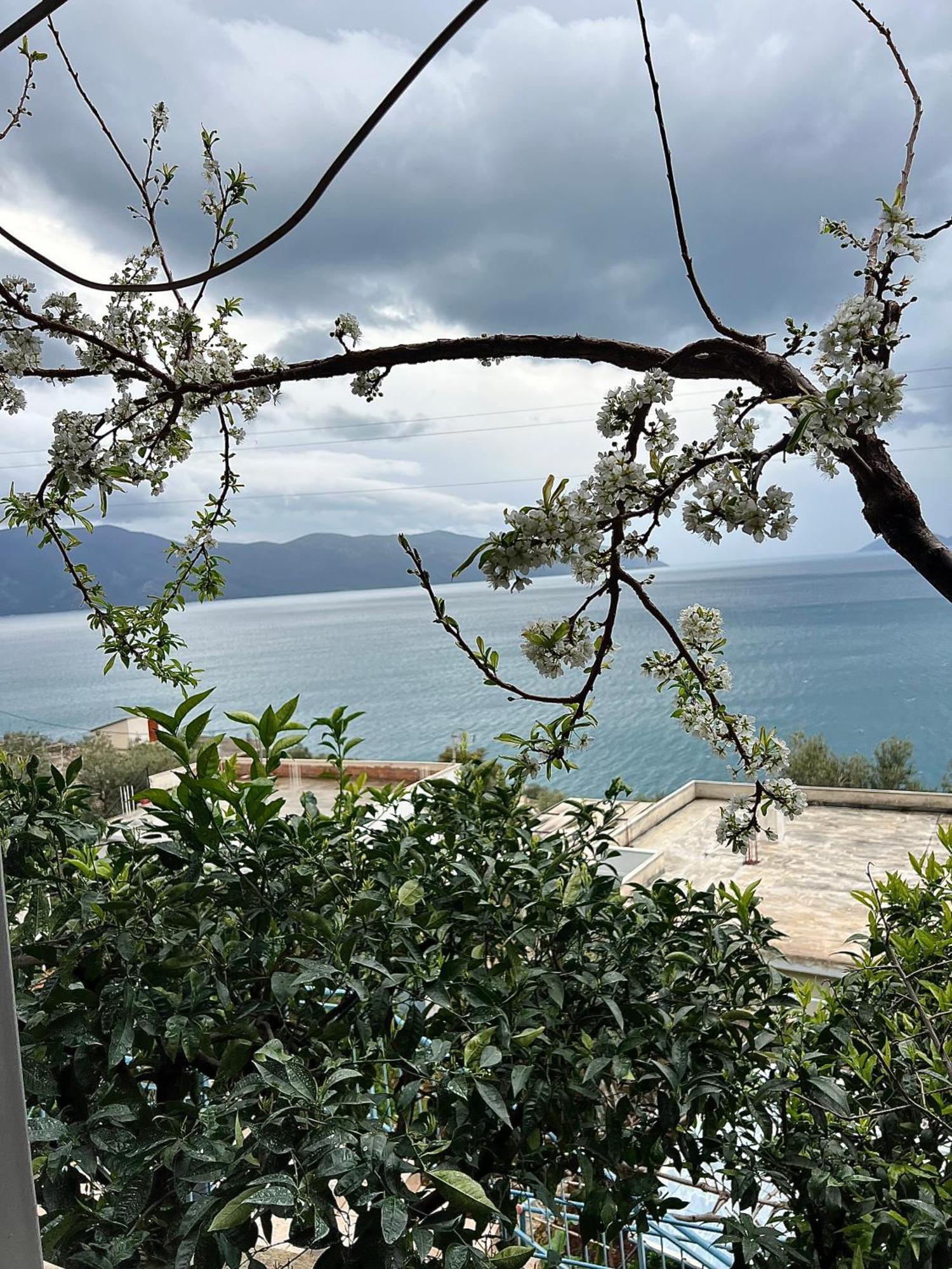 Marisi House Appartamento